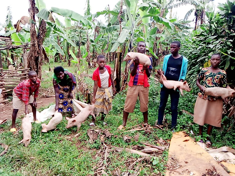 Children smiling while receiving piglets during a rural farming support program.